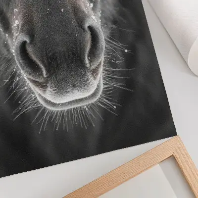 Sieninis plakatas fotorealistinis arklio veidas sniege, stambiu planu