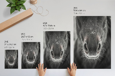 Sieninis plakatas Fotorealistinis arklio veido sniege stambus planas