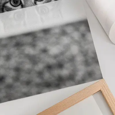 Plakatas juodai baltas minimalistinis katės atvaizdas