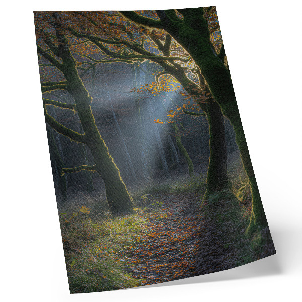 Plakatas Magiška miško rudens šviesa, rami atmosfera