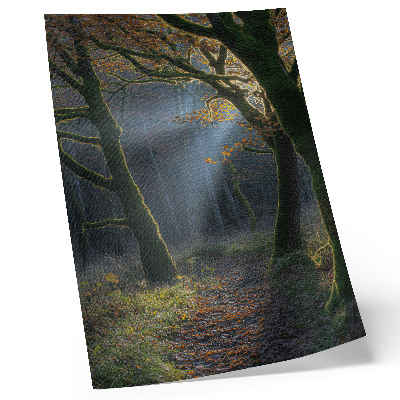 Plakatas Magiška miško rudens šviesa, rami atmosfera