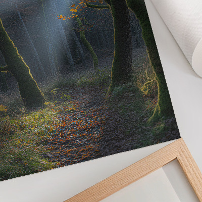 Plakatas Magiška miško rudens šviesa, rami atmosfera