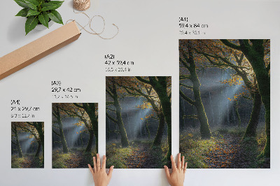 Plakatas Magiška miško rudens šviesa, rami atmosfera