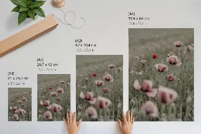 Dekoratyvinis plakatas pastelinės aguonos su romantiškomis ir subtiliomis gėlėmis