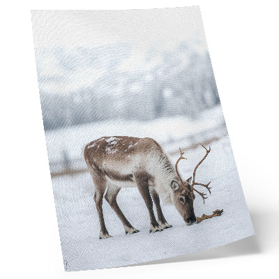 Plakatas svetainei Šiauriniai elniai sniege, gamta, ramybė, elegancija