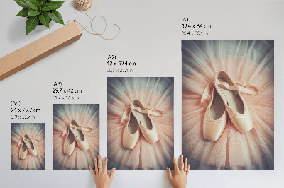 Sieninis plakatas Baleto bateliai ant rožinio tiulio sijono, harmonija ir elegancija