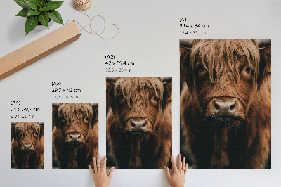 Dekoratyvinis plakatas Gyvūno portretas kailio kaimiškos atmosferos detalė