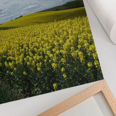 Sieninis plakatas geltoni laukai kontrastuojantys su mėlynu dangumi
