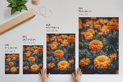 Sieninis plakatas Oranžinės gėlės, žali lapai, klasika