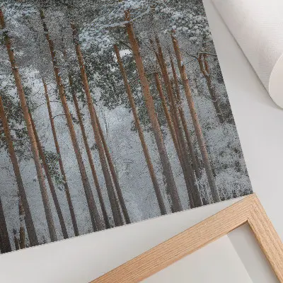 Dekoratyvinis plakatas žiemos miškas su sniegu ir medžiais, spinduliuojantis taiką bei gamtos harmoniją