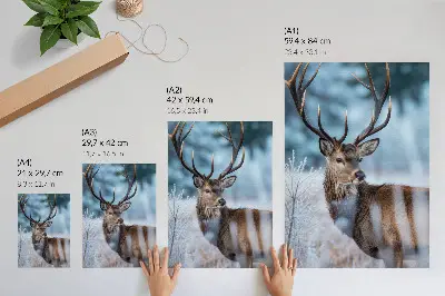Plakatas svetainei gamtos grožis su žiemos peizažu ir didingais elniais