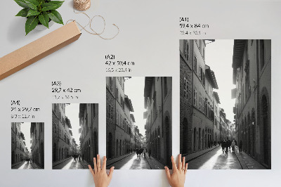Plakatas svetainei Monochromatinis istorinės gatvės žavesys