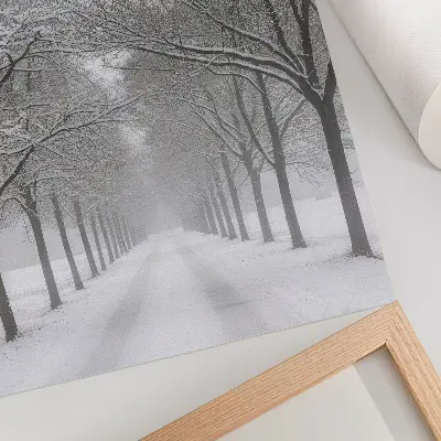 Plakatas simetriška žiemos medžių, sniego ir rūko alėja