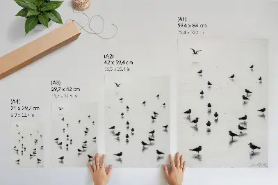 Plakatas paukščiai virš vandens su subtiliais atspindžiais minimalistiniu stiliumi
