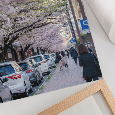 Dekoratyvinis plakatas Gatvė su vyšnių žiedais ir stovinčiais automobiliais