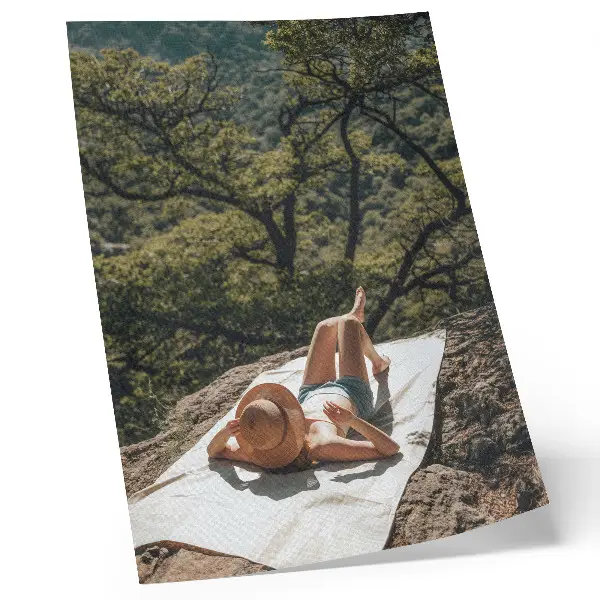 Sieninis plakatas poilsis ant uolos su skrybėle ir žaliais medžiais gamtoje
