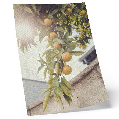Plakatas svetainei Medžio šaka saulė žali lapai oranžinė