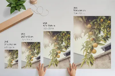 Plakatas svetainei medžio šaka su žaliais lapais ir oranžine saule