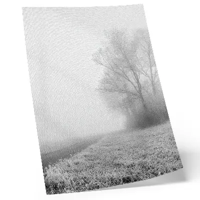 Plakatas svetainei subtilus rūkas, medžiai, žiemos peizažas ir rami atmosfera