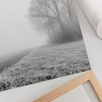 Plakatas svetainei subtilus rūkas, medžiai, žiemos peizažas ir rami atmosfera