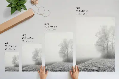 Plakatas svetainei subtilus rūkas, medžiai, žiemos peizažas ir rami atmosfera