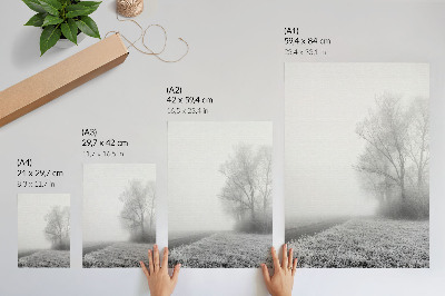 Plakatas svetainei Subtilus rūkas, medžiai, žiemos peizažas, rami atmosfera