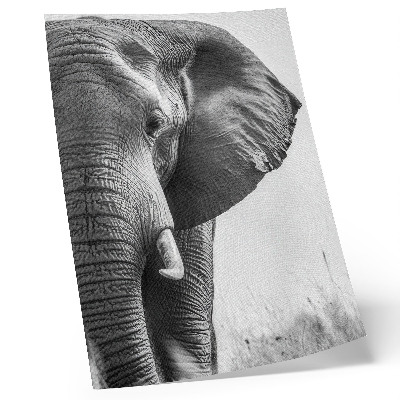 Plakatas svetainei Monochromatinė atmosfera, raukšlėta oda, elegancija