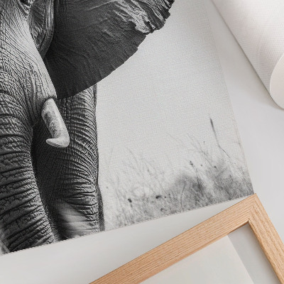 Plakatas svetainei Monochromatinė atmosfera, raukšlėta oda, elegancija