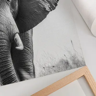 Plakatas svetainei monochromatinė atmosfera su raukšlėtos odos elegancija