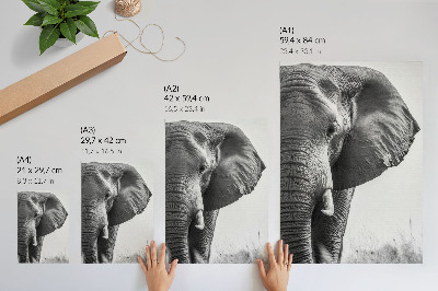 Plakatas svetainei Monochromatinė atmosfera, raukšlėta oda, elegancija