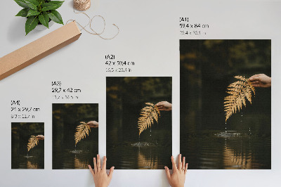 Dekoratyvinis plakatas Papartis virš vandens, harmoningi lašai, atspindys