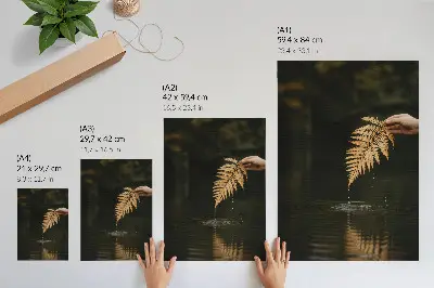 Dekoratyvinis plakatas papartis virš vandens su harmoningais lašais ir atspindžiu
