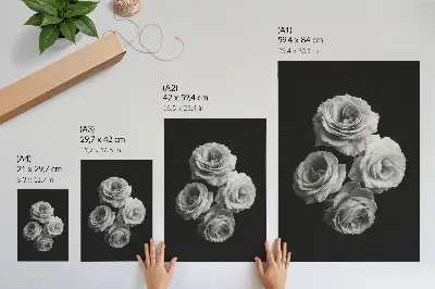 Sieninis plakatas juodai baltos rožės minimalizmas ir klasikinė elegancija