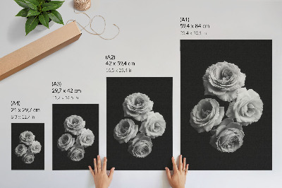 Sieninis plakatas Juodai baltos rožės minimalizmas klasikinis elegancija