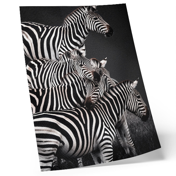 Sieninis plakatas Zebra kontrastingos juodos ir baltos vertikalios linijos