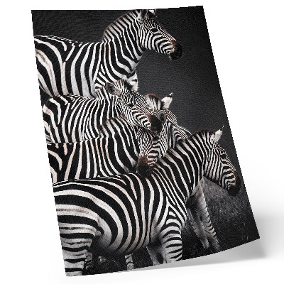 Sieninis plakatas Zebra kontrastingos juodos ir baltos vertikalios linijos