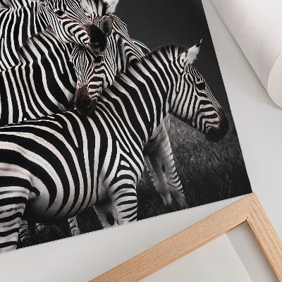 Sieninis plakatas Zebra kontrastingos juodos ir baltos vertikalios linijos