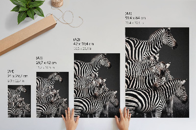 Sieninis plakatas Zebra kontrastingos juodos ir baltos vertikalios linijos