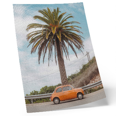 Plakatas svetainei Palmė retro automobilis gamta nerūpestingas