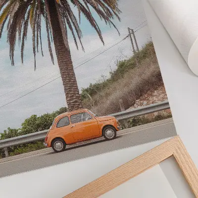 Plakatas svetainei su palme, retro automobiliu ir gamtos motyvais