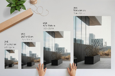 Plakatas svetainei Modernūs pastatai ir sausos šakos