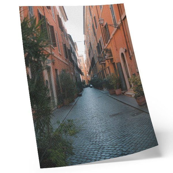 Dekoratyvinis plakatas Žavinga gatvė su augalų vazonais ir šiltomis spalvomis