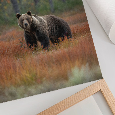 Plakatas svetainei Meška rudens miške, natūralumas ir ramybė