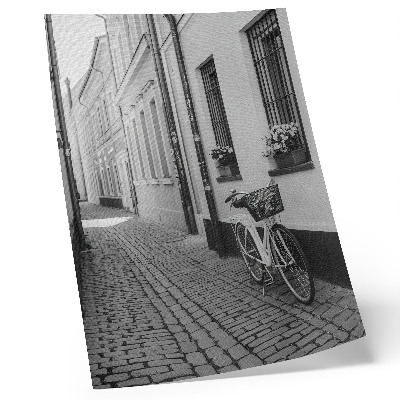 Plakatas Gatvė, daugiabučiai, gėlės, dviratis, juoda ir balta
