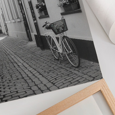 Plakatas Gatvė, daugiabučiai, gėlės, dviratis, juoda ir balta