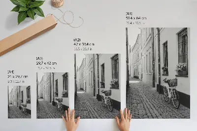 Plakatas gatvės vaizdas su daugiabučiais, gėlėmis ir dviračiu nespalvotas