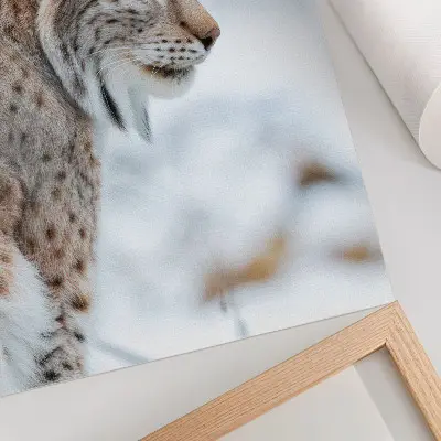 Plakatas svetainei Rysy kalnai žiemą su natūralių spalvų harmonija