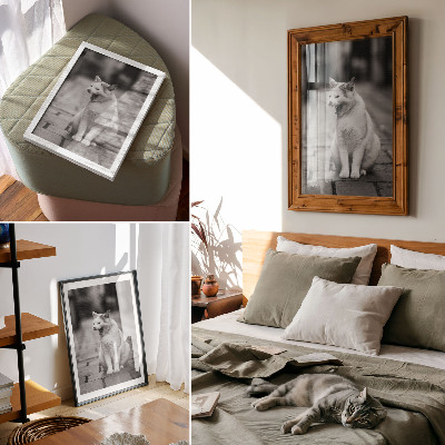 Plakatas Žavinga katė akmenimis grįstoje gatvėje su juodai balta estetika
