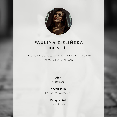 Plakatas Žavinga katė akmenimis grįstoje gatvėje su juodai balta estetika