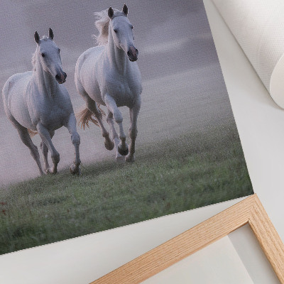 Plakatas svetainei Balti arkliai ryto rūkas erdvė gamta